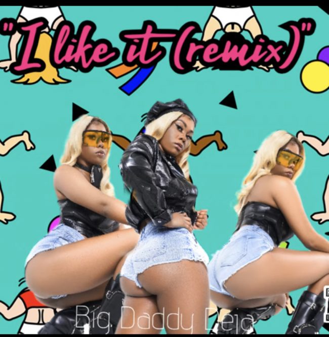 Big Daddy Deja Cover for I Like it (remix)