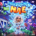 HURRICANE NAE - ASIANAE